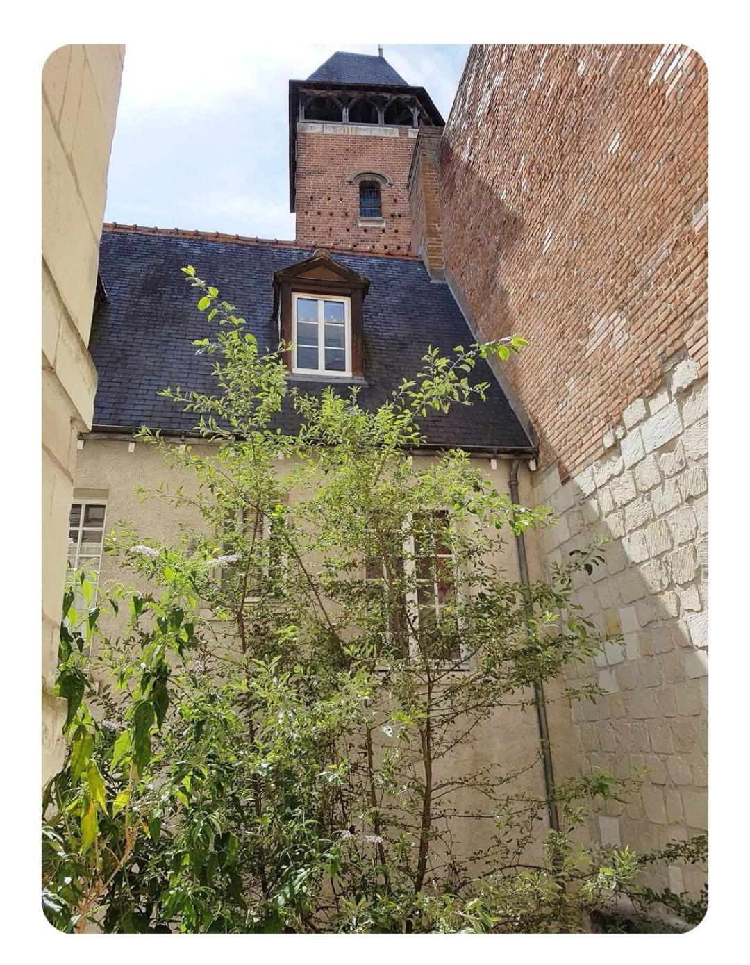 Havre De Paix Avec Exterieur Au Coeur Du Vieux Tours Apartment Exterior foto